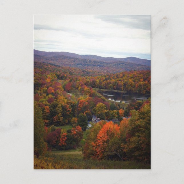 Cartão Postal Fall Foliage Vermont Autumn Scense (Frente)