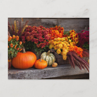 Cartão Postal Fall Harvest Tablescape - Autumn Pumpkins Flowers