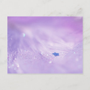 Cartão Postal Fallen Star