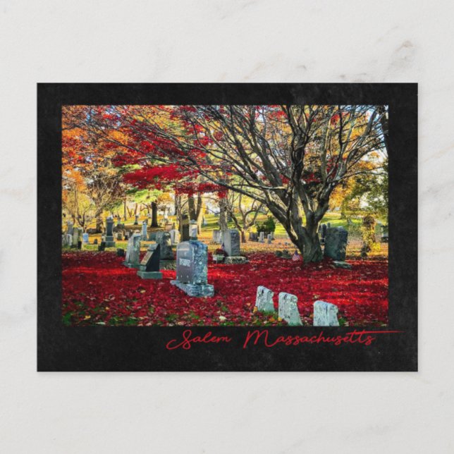 Cartão Postal Falling Leaves em Salem, Massachusetts (Frente)