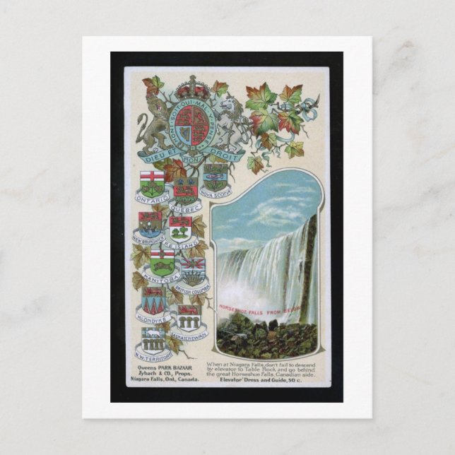 Cartão Postal Falls em ferradura, Cataratas de Niagara, Canadá (Frente)