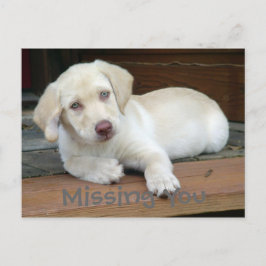 Cartão Postal Falta-Te O Labrador Amarelo Retriever