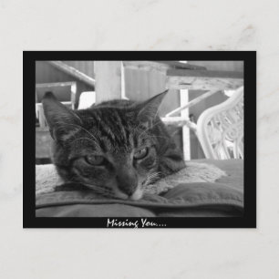 Cartão Postal Faltando você