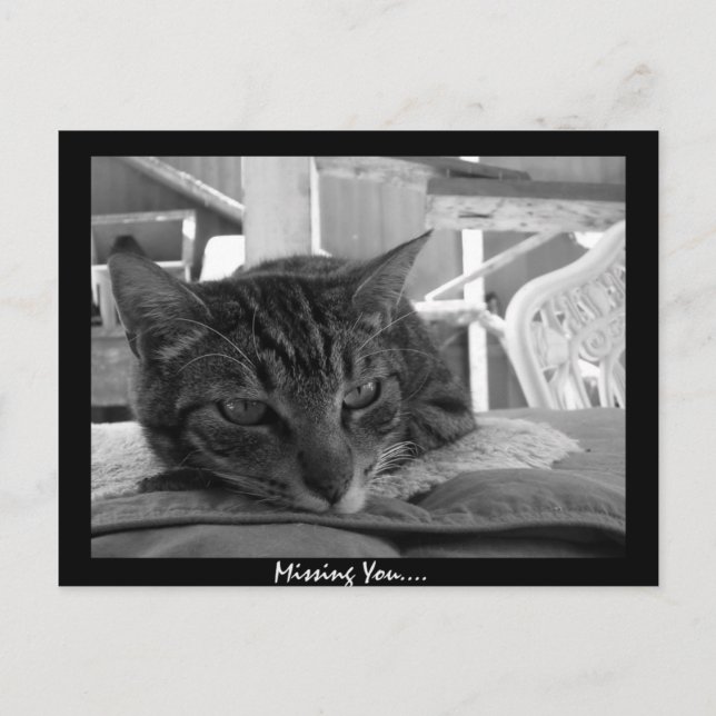 Cartão Postal Faltando você (Frente)