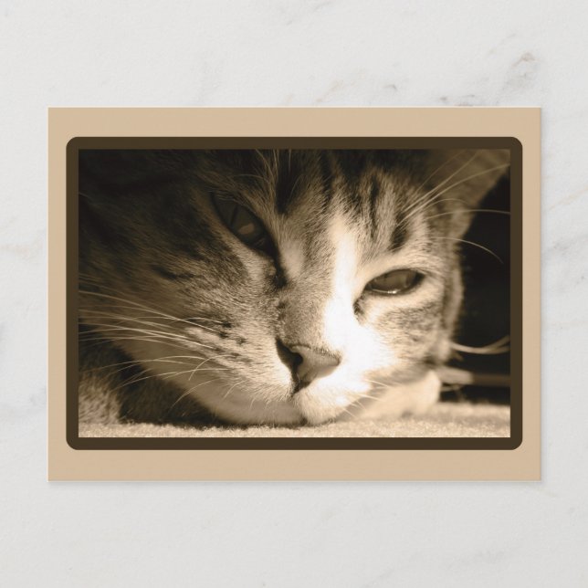 Cartão Postal Faltando você (Frente)