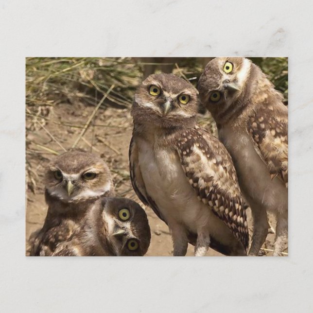 Cartão Postal fam uil (Frente)