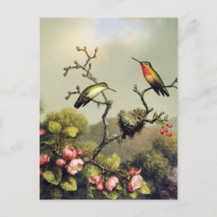 Cartão Postal Família Beija-flor e Flor de Maçã Cartão-postal