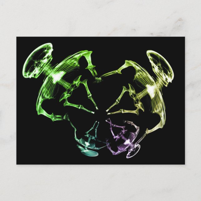 Cartão Postal Família de esqueleto de raios X 4 (Frente)
