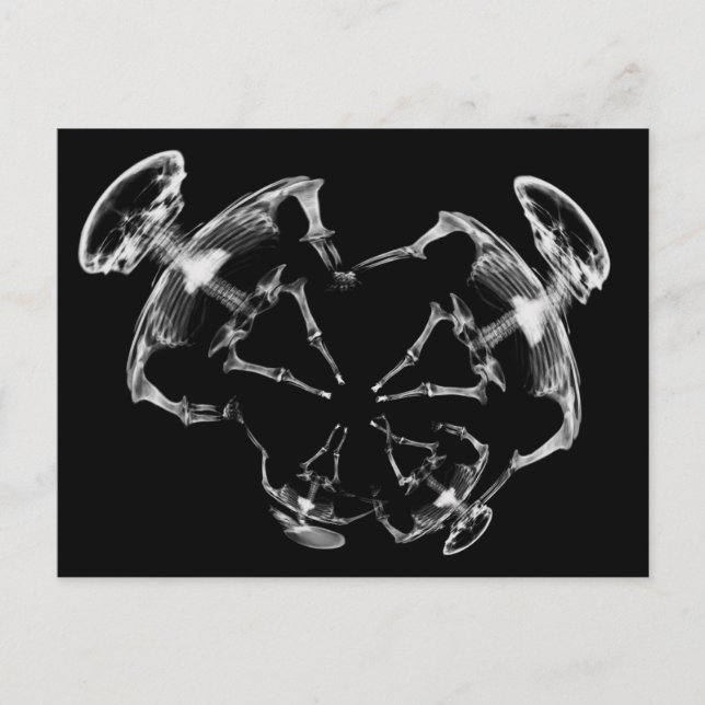 Cartão Postal Família de esqueleto de raios X estendida B&W (Frente)