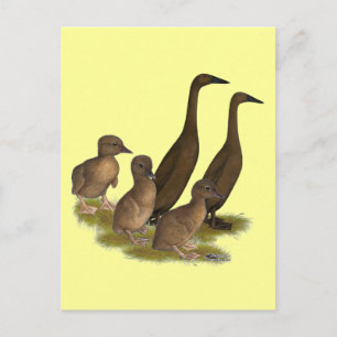 Cartão Postal Família de Patos de Chocolate Runner