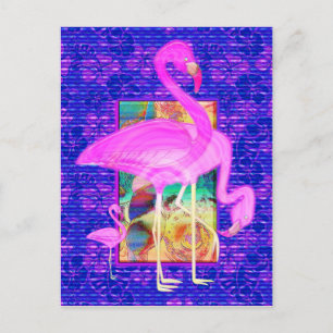Cartão Postal Família de Prateleiras Flamingos Rosa e Arte Hibi