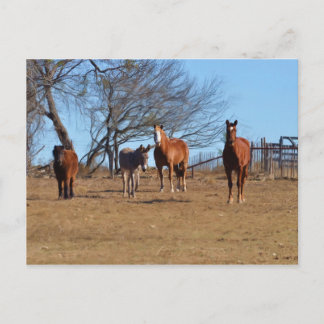 Cartão Postal Família e Amigos