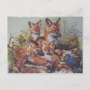 Cartão Postal Família Fox