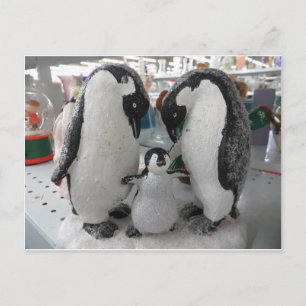 Cartão Postal Família Penguin