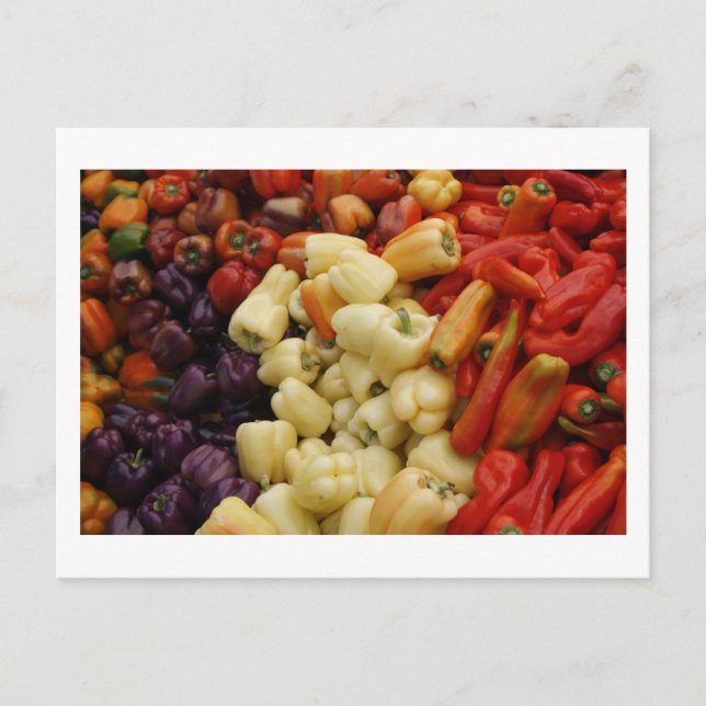 Cartão Postal Família Pepper (Frente)