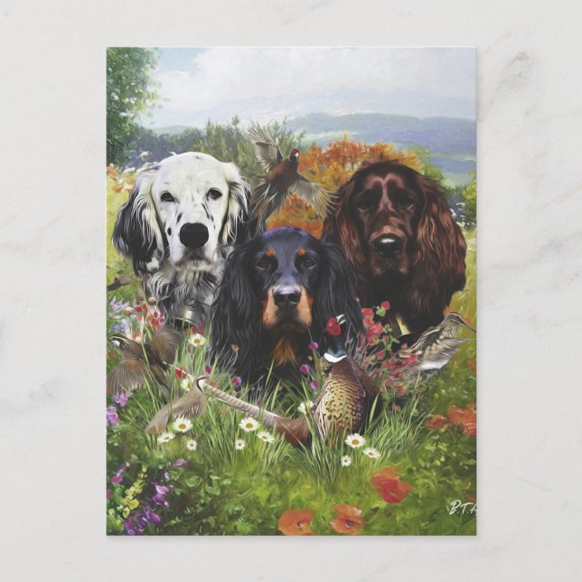 Cartão Postal Família Setters (Frente)