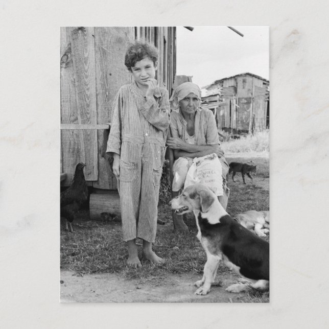 Cartão Postal Família Sharecropper com Cão Cachorro Cachorro, 19 (Frente)
