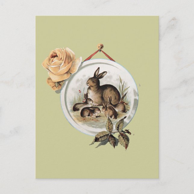 Cartão Postal Família Vintage Rabbit (Frente)