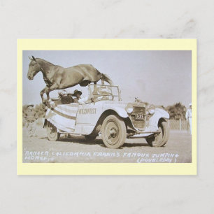 Cartão Postal Famoso Cavalo de Salto, Rodeio, California Vintage