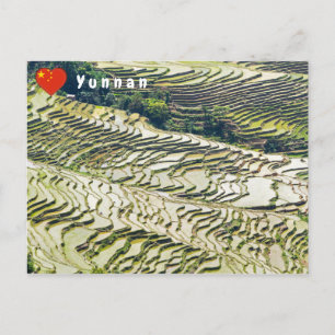 Cartão Postal Famosos terraços de arroz yuanyang - Yunnan, Chin