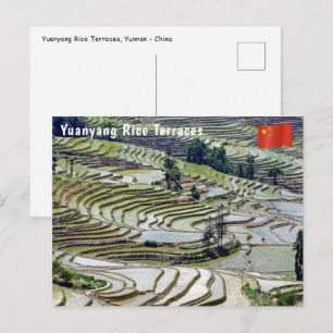 Cartão Postal Famosos terraços de arroz yuanyang - Yunnan, Chin