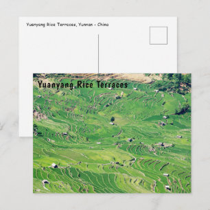Cartão Postal Famosos terraços de arroz yuanyang - Yunnan, Chin