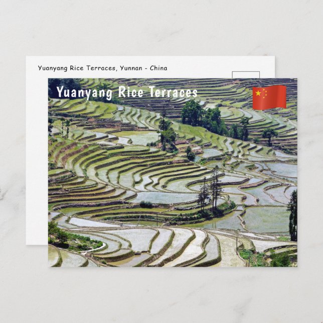 Cartão Postal Famosos terraços de arroz yuanyang - Yunnan, China (Frente/Verso)