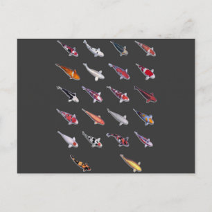 Cartão Postal Fanatical Sobre Koi