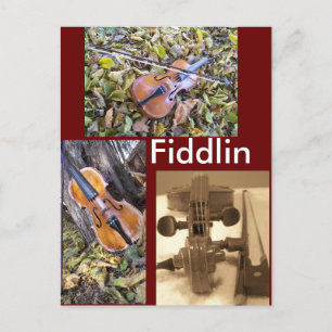cartão postal fanático do fiddlin