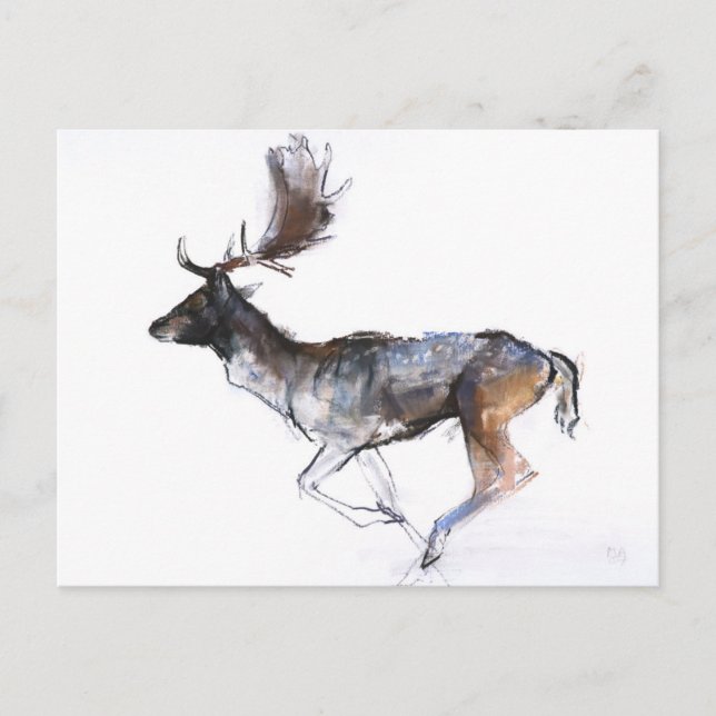 Cartão Postal Fanfarrão da noite (Frente)