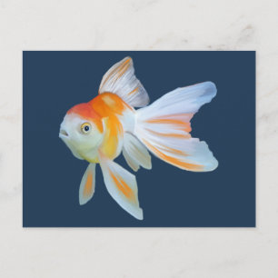 Cartão Postal Fantail Goldfish Watercolor
