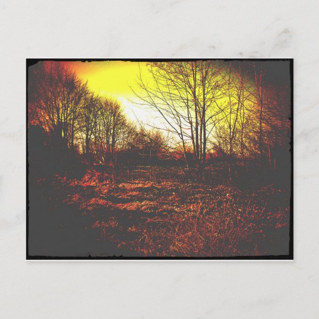 Cartão Postal fantasia (Frente)