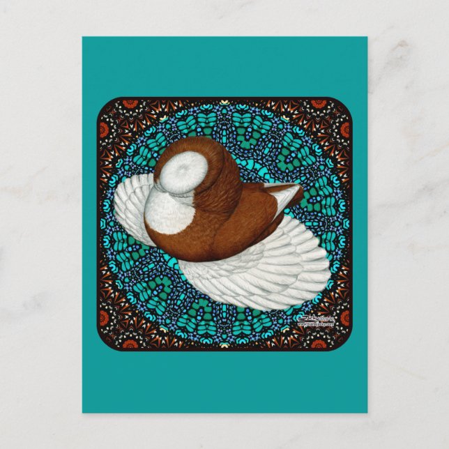 Cartão Postal Fantasia de Pombo Bokhara (Frente)