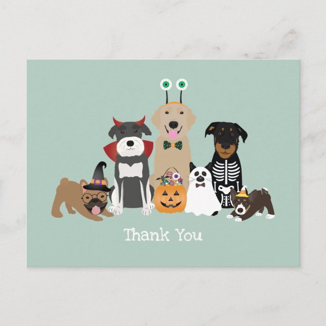 Cartão Postal Fantasias de Halloween para Animais Assustadores O (Frente)