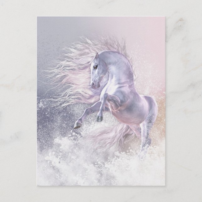 Cartão Postal Fantasma de Neve (Frente)