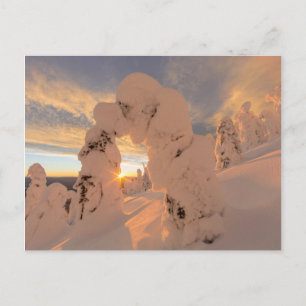 Cartão Postal Fantasmas de Neve na Cordilheira Whitefish