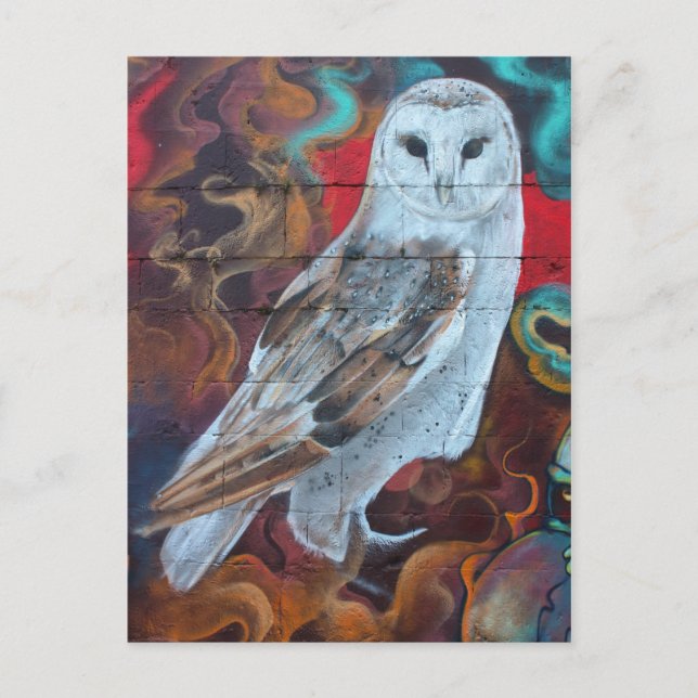 Cartão Postal Fantasy Grafite Snowy Owl (Frente)