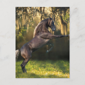 Cartão Postal Fantasy Horses: Príncipe Guerreiro