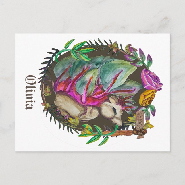 Cartão Postal Fantasy kohlrabi hedgehog - ouriço bonito (Frente)