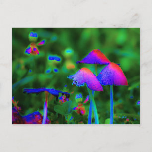 Cartão Postal Fantasy Mushroom