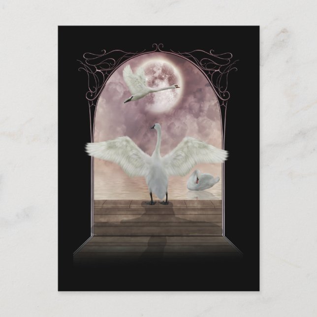 Cartão Postal Fantasy Swan Postcard Art (Frente)