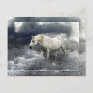 Cartão Postal Fantasy White Horse & Ocean Surf Gifts