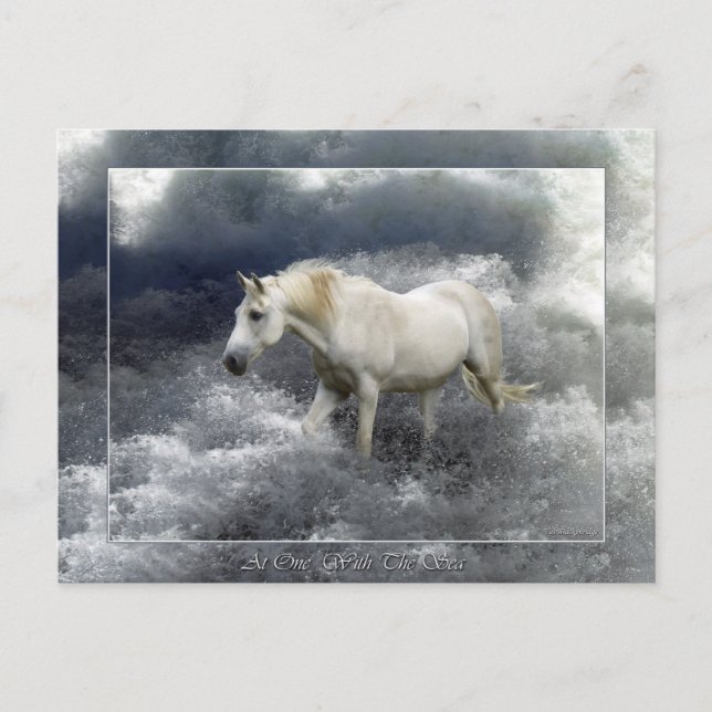 Cartão Postal Fantasy White Horse & Ocean Surf Gifts (Frente)