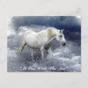 Cartão Postal Fantasy White Horse & Ocean Surf Gifts