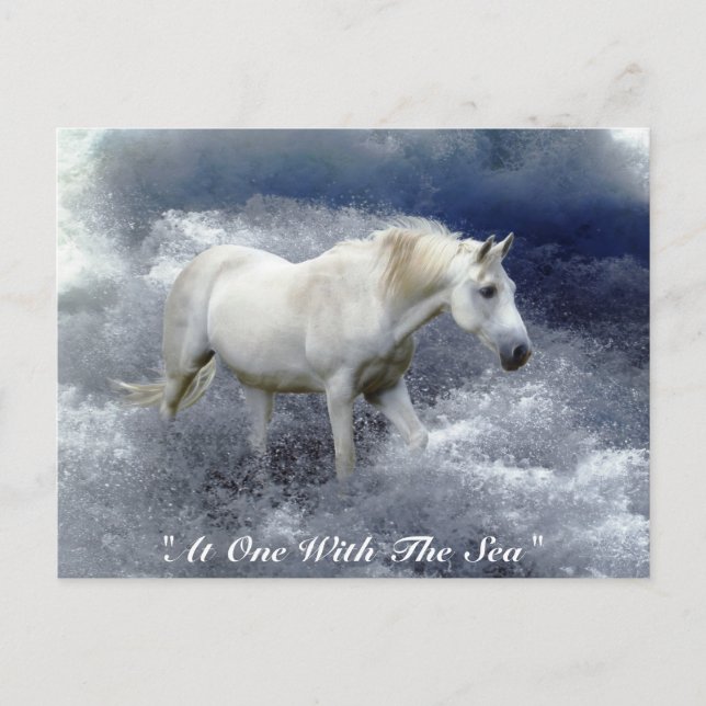 Cartão Postal Fantasy White Horse & Ocean Surf Gifts (Frente)