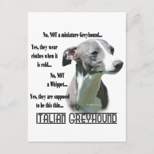 Cartão Postal FAQ de Greyhound italiano