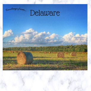 Cartão Postal Fardos de Feno Fora de Georgetown Delaware