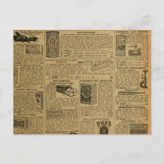 Cartão Postal Farmer de frango em jornais de propaganda em vinhe (Frente)