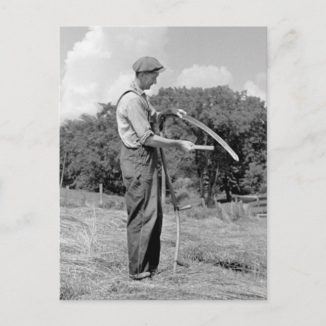 Cartão Postal Farmer Sharing a Scythe, 1930 (Frente)