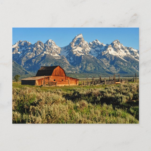 Cartão Postal Farms | Barn Shadowed by Snow Capped Mountains (Frente)
